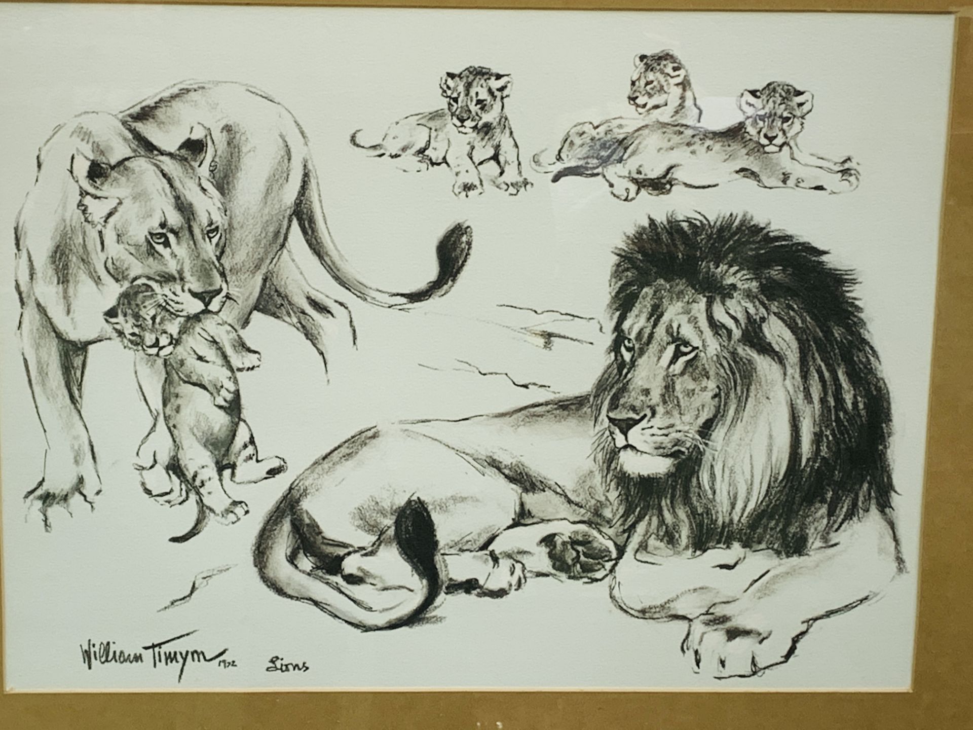 Four framed and glazed animal prints by W Timym