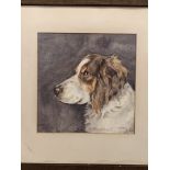 P Levson, 1924, watercolour of a spaniel