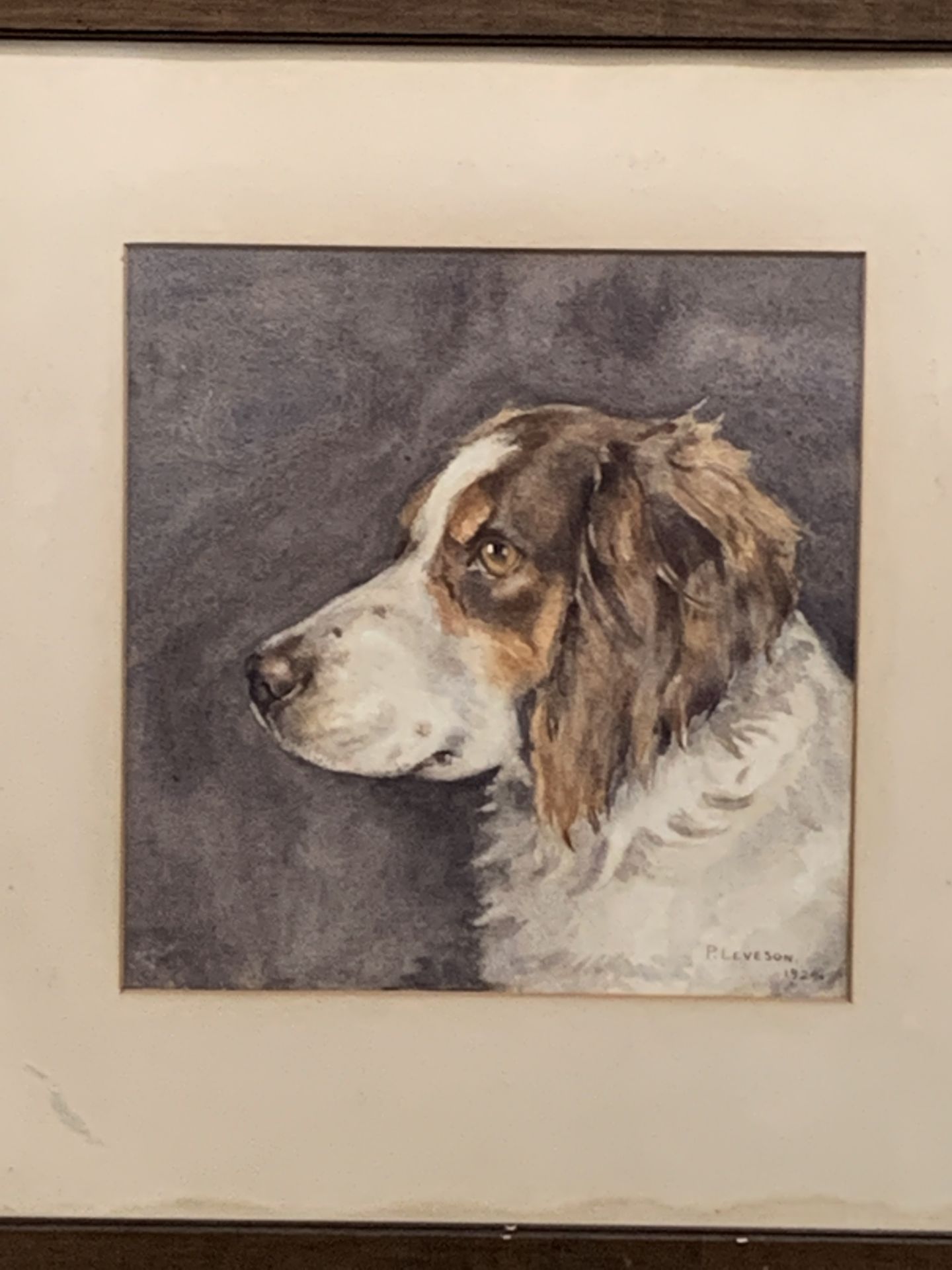 P Levson, 1924, watercolour of a spaniel