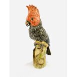 Ernst Bohne, Rudolstadt Thuringia / Dresden large grey and red cockatoo, circa 1850's.