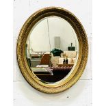 Oval gilt decorative edge wall mirror