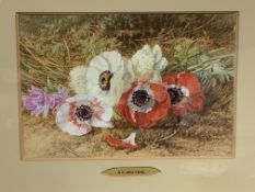 Gilt framed and glazed watercolour of poppies, signed monogram A.F.M