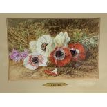 Gilt framed and glazed watercolour of poppies, signed monogram A.F.M