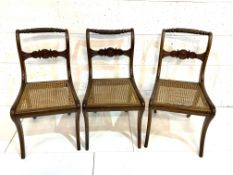 Three Regency sabre-legged 'Nelson' back cane seat dining chairs.