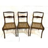 Three Regency sabre-legged 'Nelson' back cane seat dining chairs.