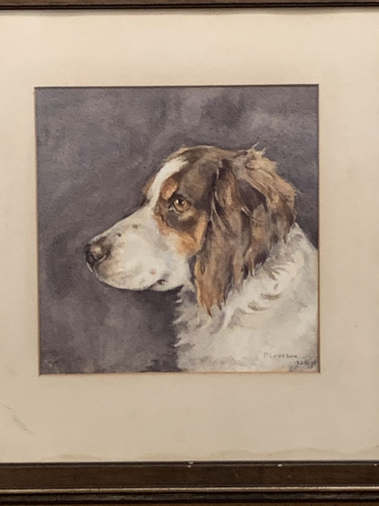 P Levson, 1924, watercolour of a spaniel - Image 2 of 2