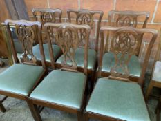 Six mahogany framed Georgian style dining chairs