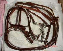 Unused double bridle.