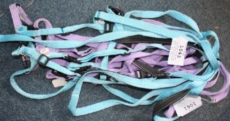 2 x Libbys Click cob size riding bridle and reins in purple/light blue.