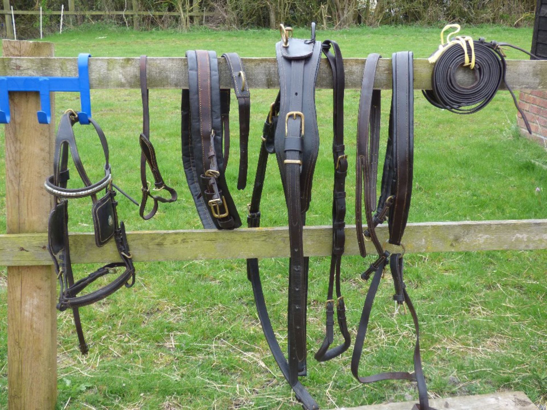 Set of brown leather breastcollar pony harness. Traces missing.