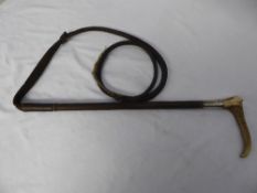 Hunt whip with silver hallmarked collar, bone handle and leather thong