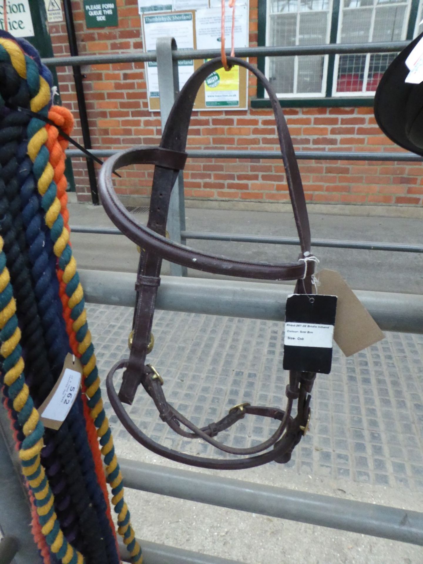 In-hand bridle to suit a cob - carries VAT.