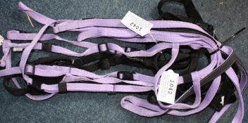 2 x Libbys Click cob size riding bridle and reins in black/purple.