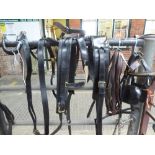 Complete set of leather harness to suit a cob but previously used on 14.2 to 15.3hh horses