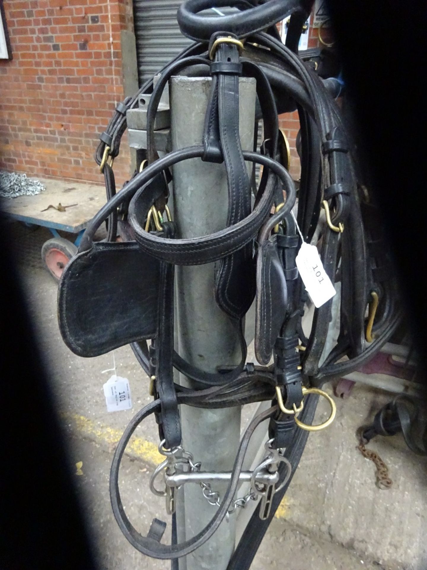 Set of English trap harness. - Image 3 of 4