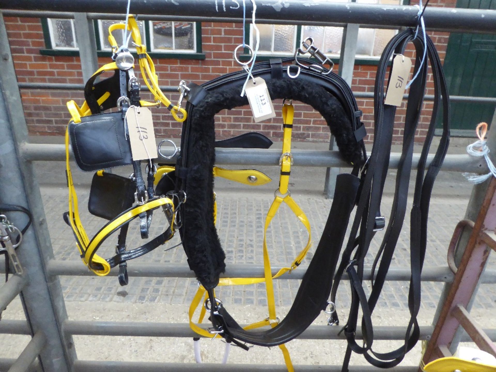 Set of quick hitch cob size trotting harness - carries VAT