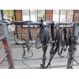 Complete set of leather harness to suit 14.2 to 15.3hh horses, with reins. In good condition.