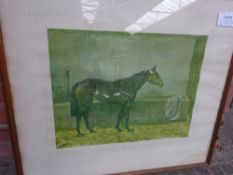 Framed and glazed print of a racehorse: 'Lord Astor's 'PennyComeQuick'