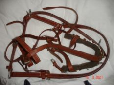 Leather lungeing cavesson and a leather headcollar.