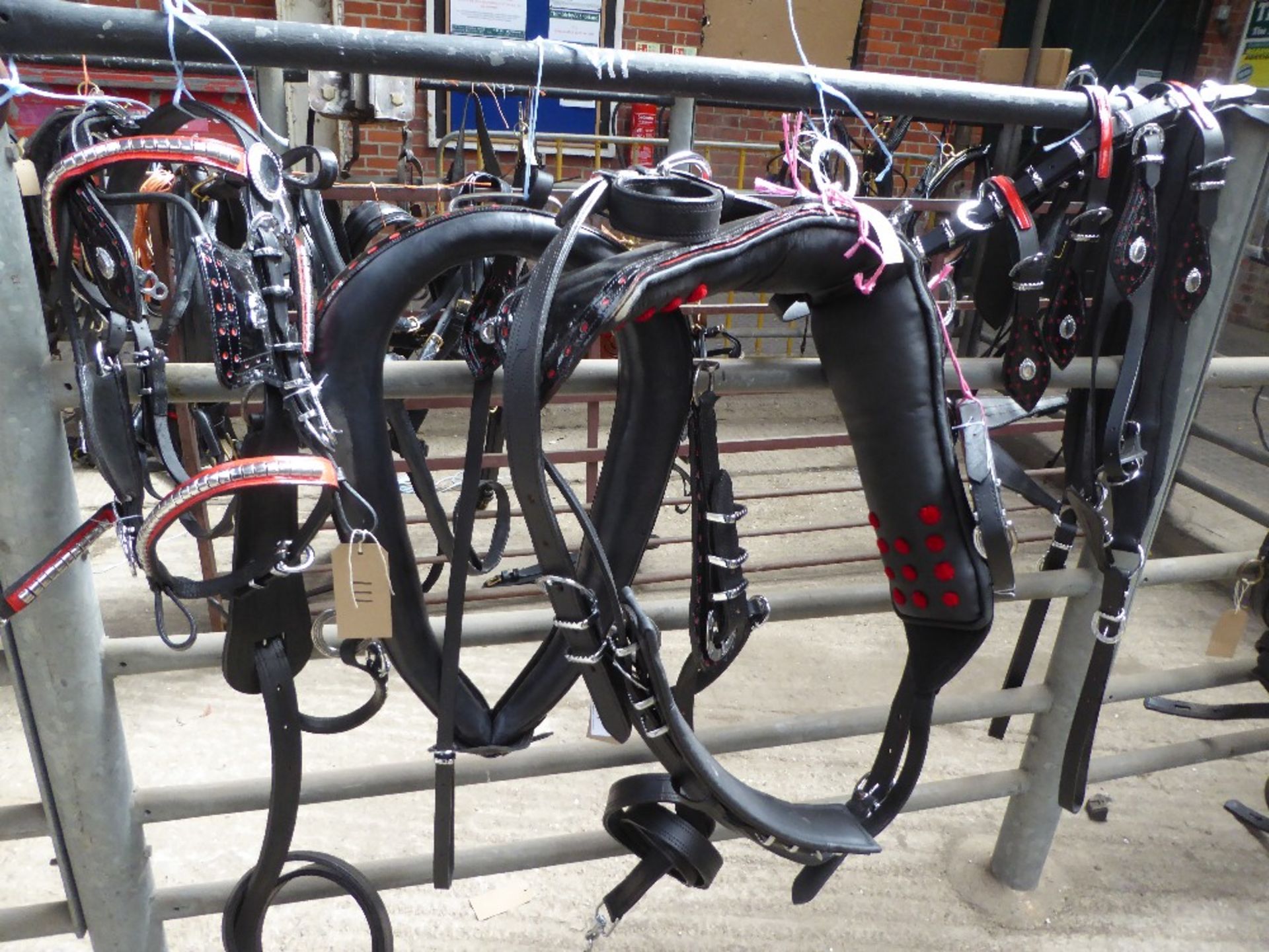 Set of black/red trade harness with white metal horseshoe fittings, 22ins collar - carries VAT