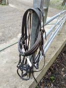 2 x cob size bridles with no nosebands, and 2 other cob size nosebands.