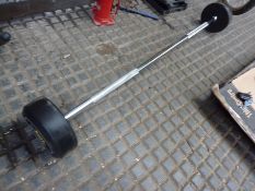 Everlast 30kg weight lifting bar