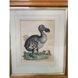 Two framed and glazed hand coloured engravings of birds