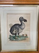 Two framed and glazed hand coloured engravings of birds