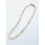 Cultured pearl necklace.