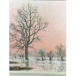An early Rex N Preston framed oil on board of a flooded landscape with trees in a pink sunset