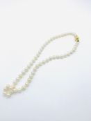 Cultured pearl necklace.