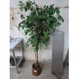 Decorative tree in pot