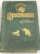 Reverend Wood: Natural History