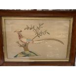 Early 19th century framed and glazed silk embroidery of a tropical bird