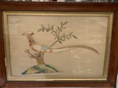 Early 19th century framed and glazed silk embroidery of a tropical bird