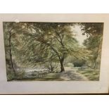 A framed and glazed watercolour of a wooded path by a river signed bottom left