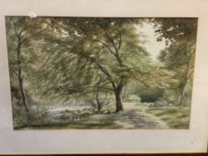 A framed and glazed watercolour of a wooded path by a river signed bottom left