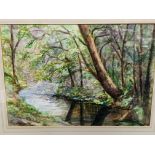 Framed and glazed watercolour of a river and trees signed Gasson (?)
