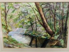 Framed and glazed watercolour of a river and trees signed Gasson (?)