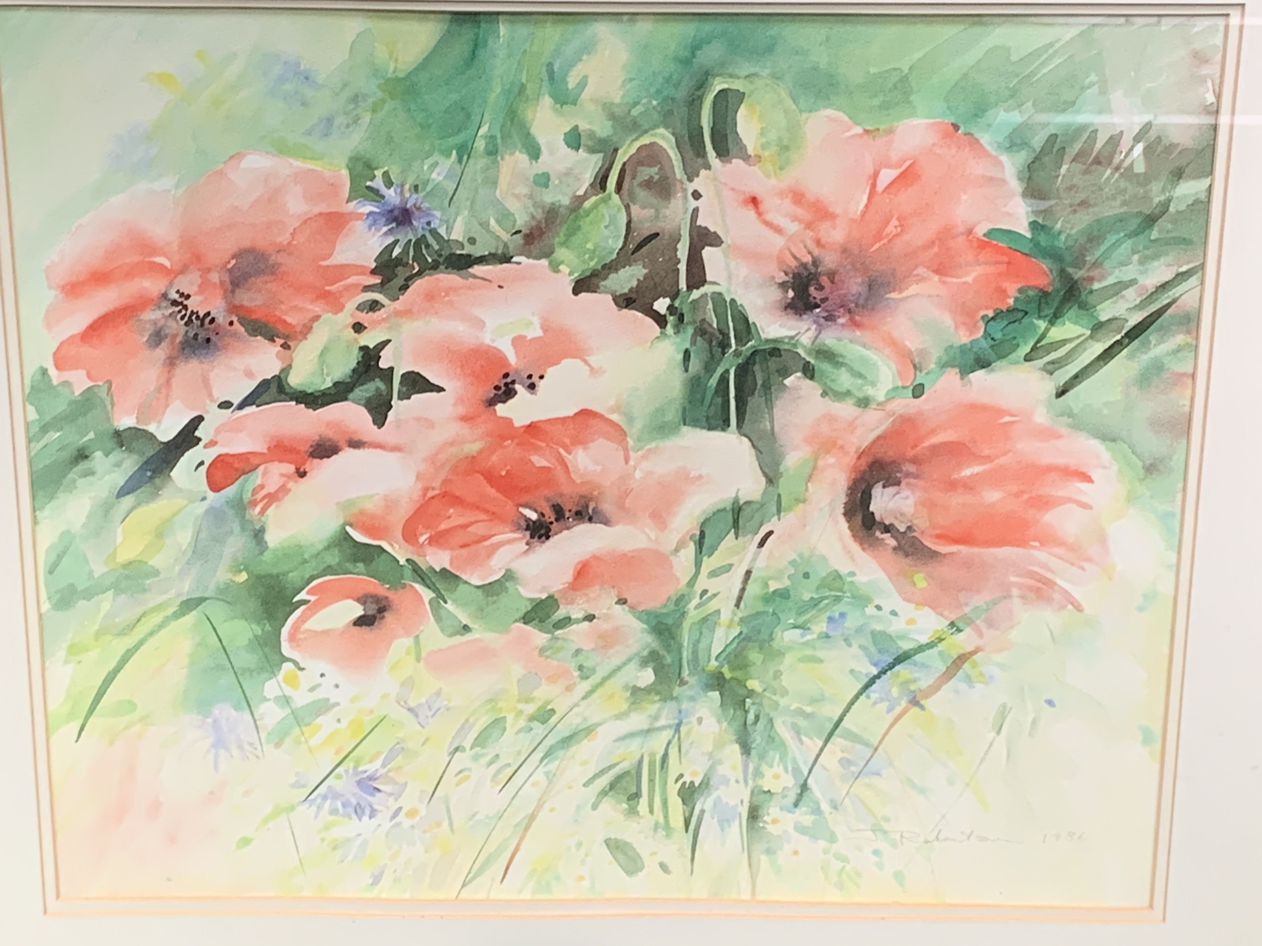 Two framed and glazed watercolours signed J. Robertson