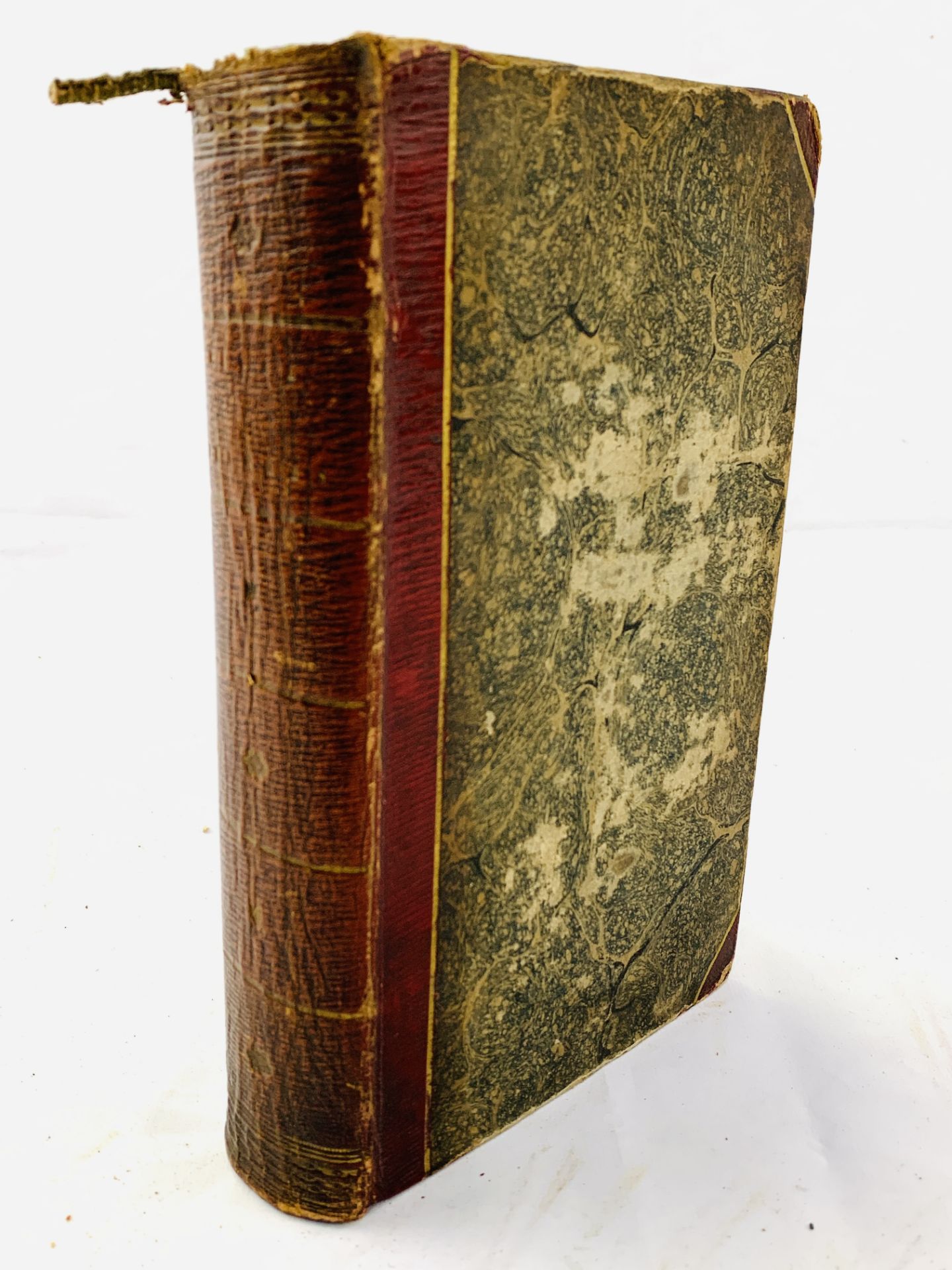 The Rival Princes by Mary Anne Clarke, 1810, 2 volumes bound in one