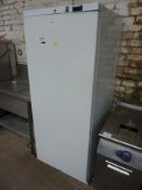 Lowe G6 single door freezer.