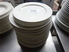 22 plates of various sizes