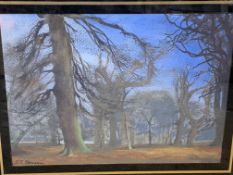 Framed and glazed watercolour of woodland signed F T Penson(?)