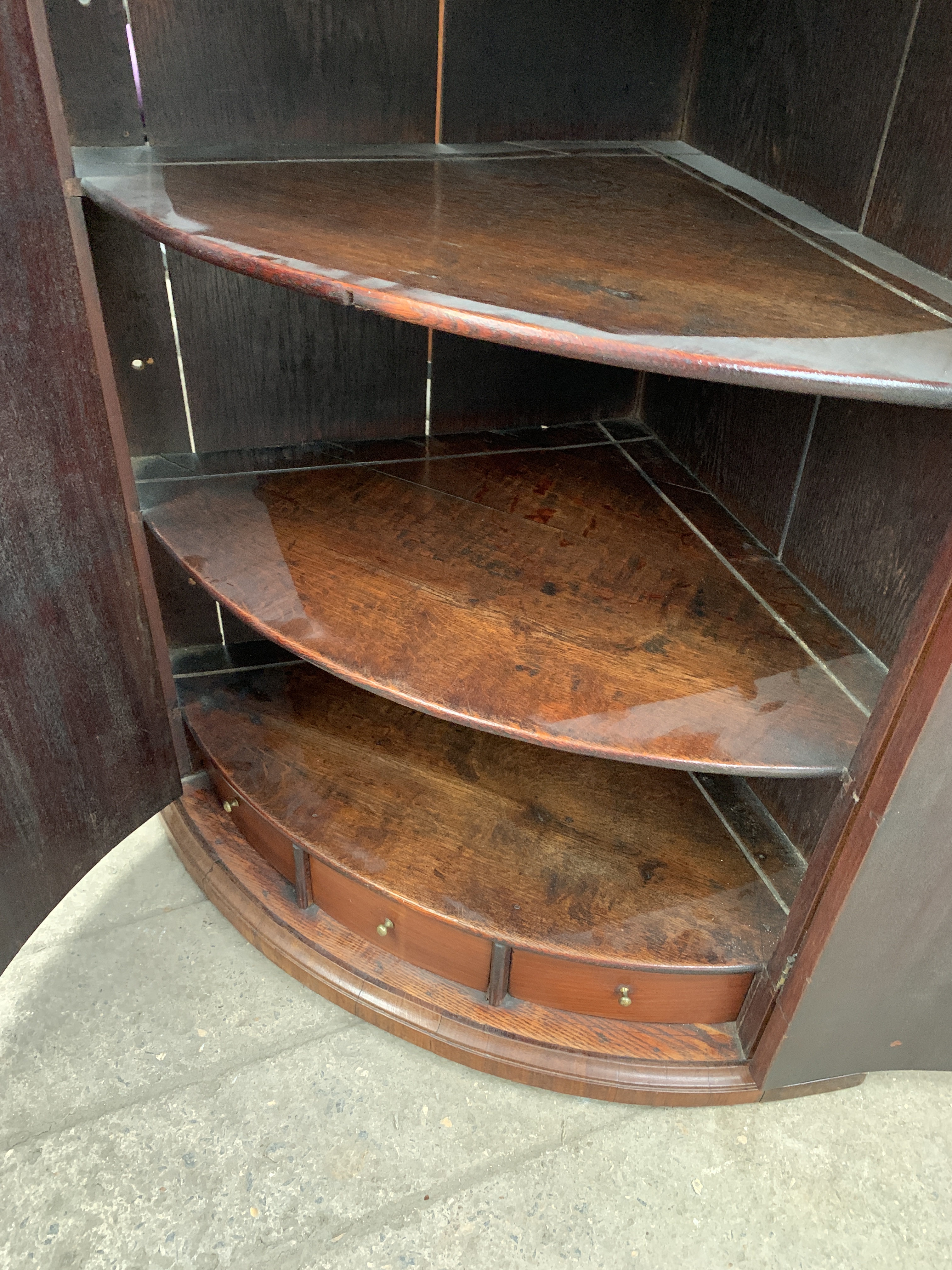 Early 19th century mahogany bow fronted wall cabinet - Image 3 of 3