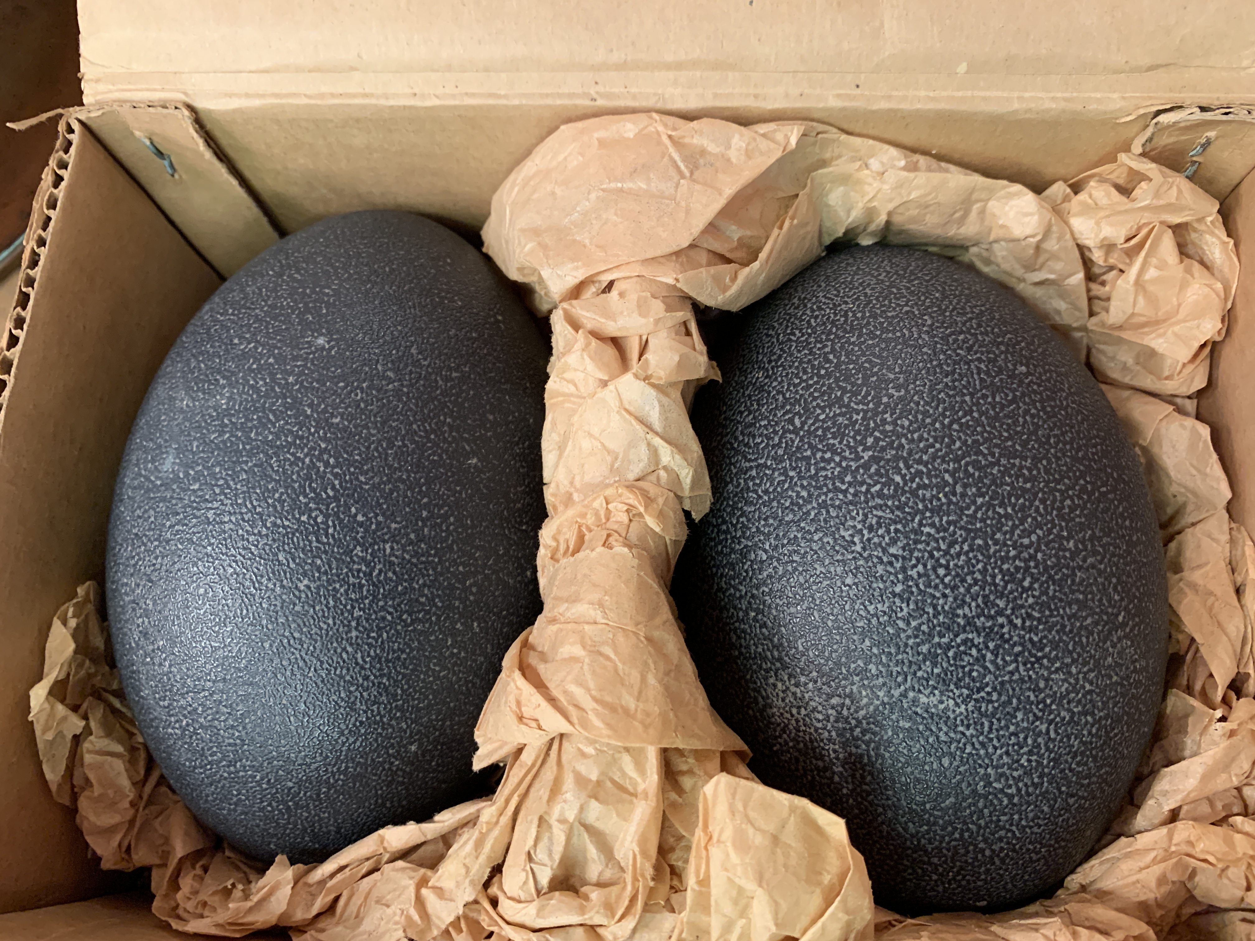 Two Emu eggs - Image 2 of 3