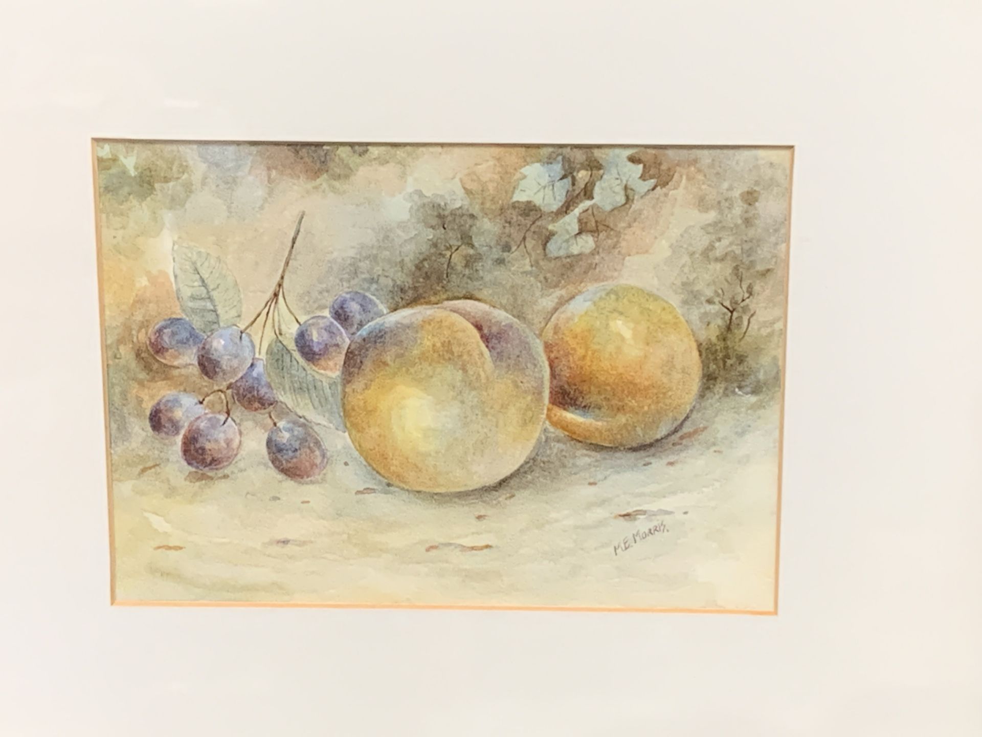 Pair of framed and glazed watercolours of still life fruit, signed M E Morris - Bild 4 aus 5