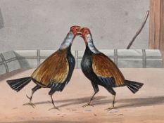 Framed and glazed partially handcoloured Alkin print of cock fighting; together with two others
