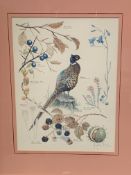 Set of four framed and glazed prints of flora and fauna by Marjorie Blamey