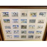 Three framed and glazed John Player & Sons cigarette card collections